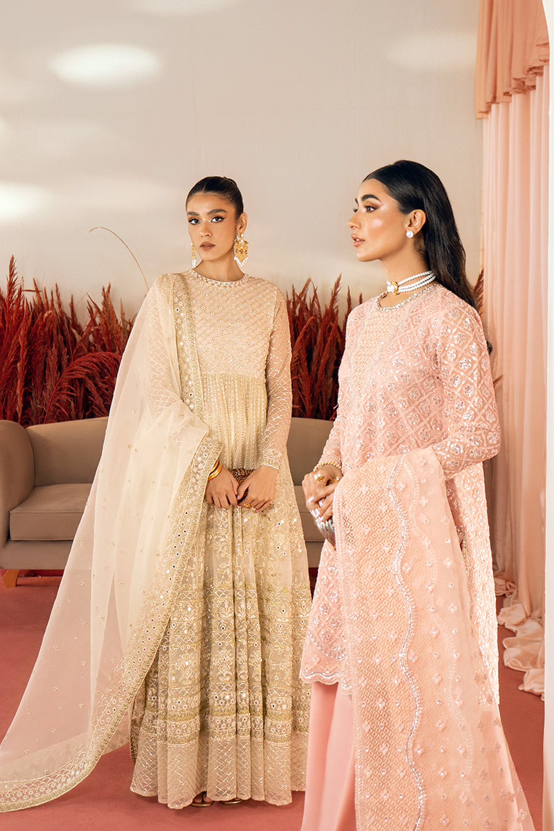 AFSHAN-2PC ORGANZA EMBROIDERED PRET