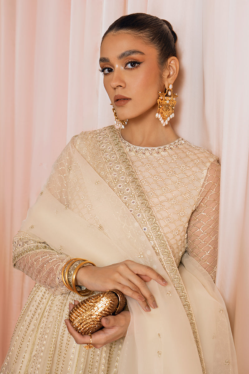 AFSHAN-2PC ORGANZA EMBROIDERED PRET